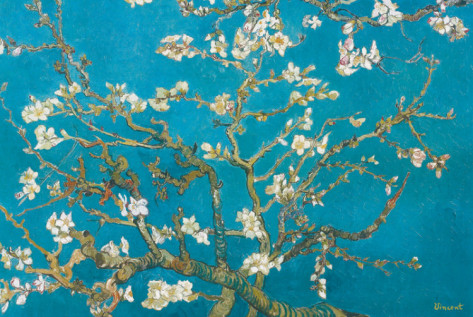 Almond Branches in Bloom, San Remy - Vincent Van Gogh Paintings - Click Image to Close